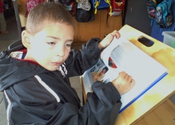 Bradley sitting at school desk reading a book about train sets.